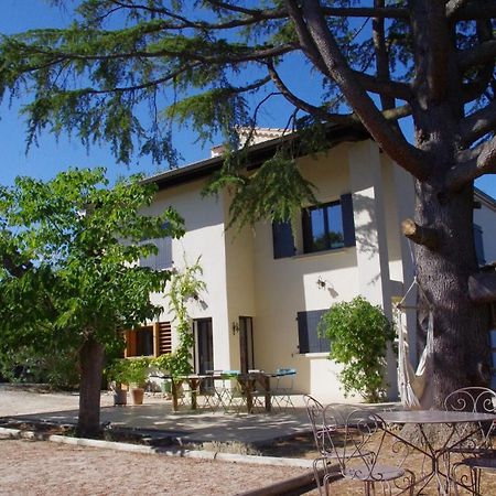 Le Grand Cedre - 2 Chambres D'Hotes - Sud Ardeche Bourg-Saint-Andéol Zewnętrze zdjęcie