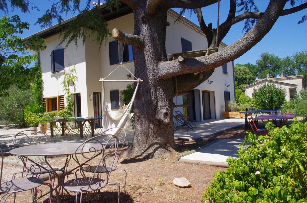 Le Grand Cedre - 2 Chambres D'Hotes - Sud Ardeche Bourg-Saint-Andéol Zewnętrze zdjęcie